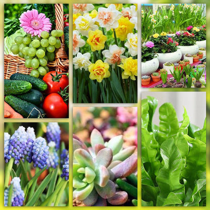 Slow-Release Plant Fertilizer Sticks
