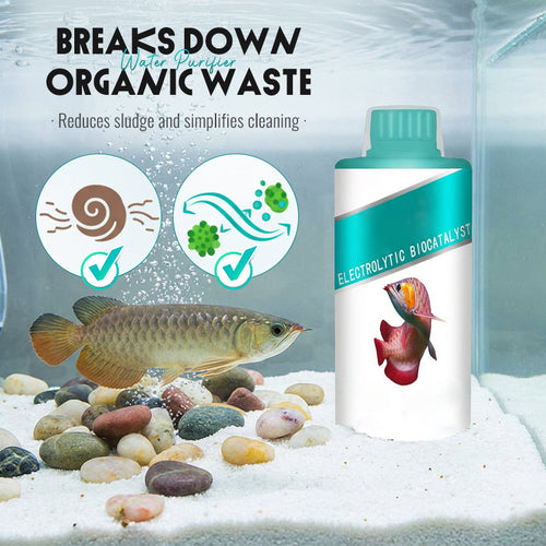 Electrolytic Biocatalyst Water Purifier