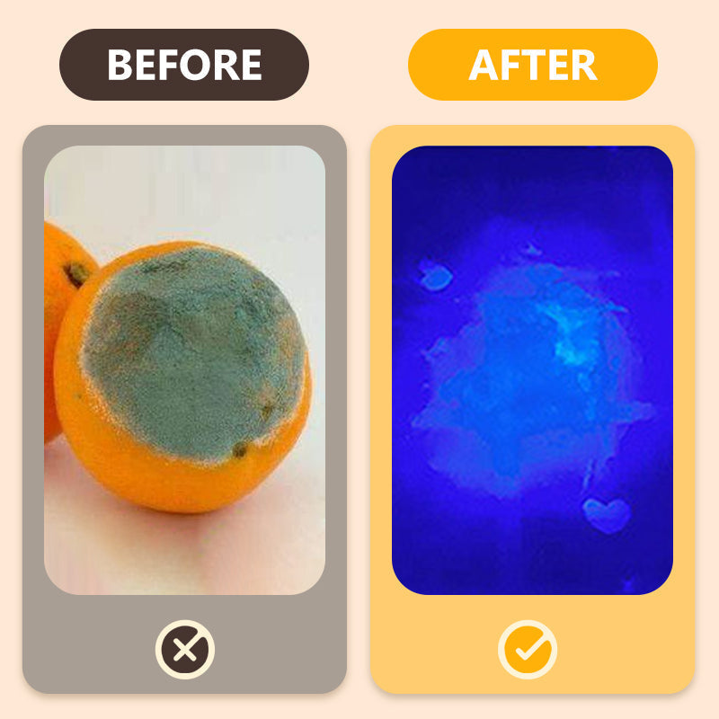 UV Inspection Light for Vegetable Safety